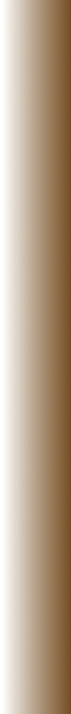 Menu Vertical Bar